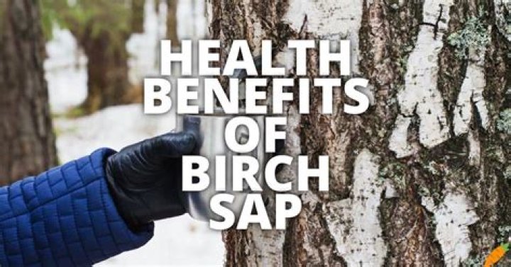 Can you drink birch sap?