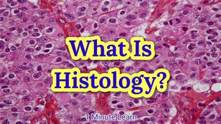 What is histology in biology?
