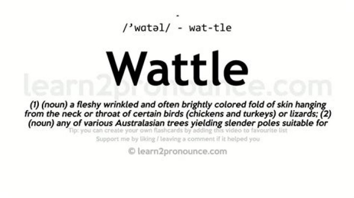 Whats the definition of wattle?
