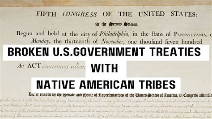 Who ratifies international treaties in usa?